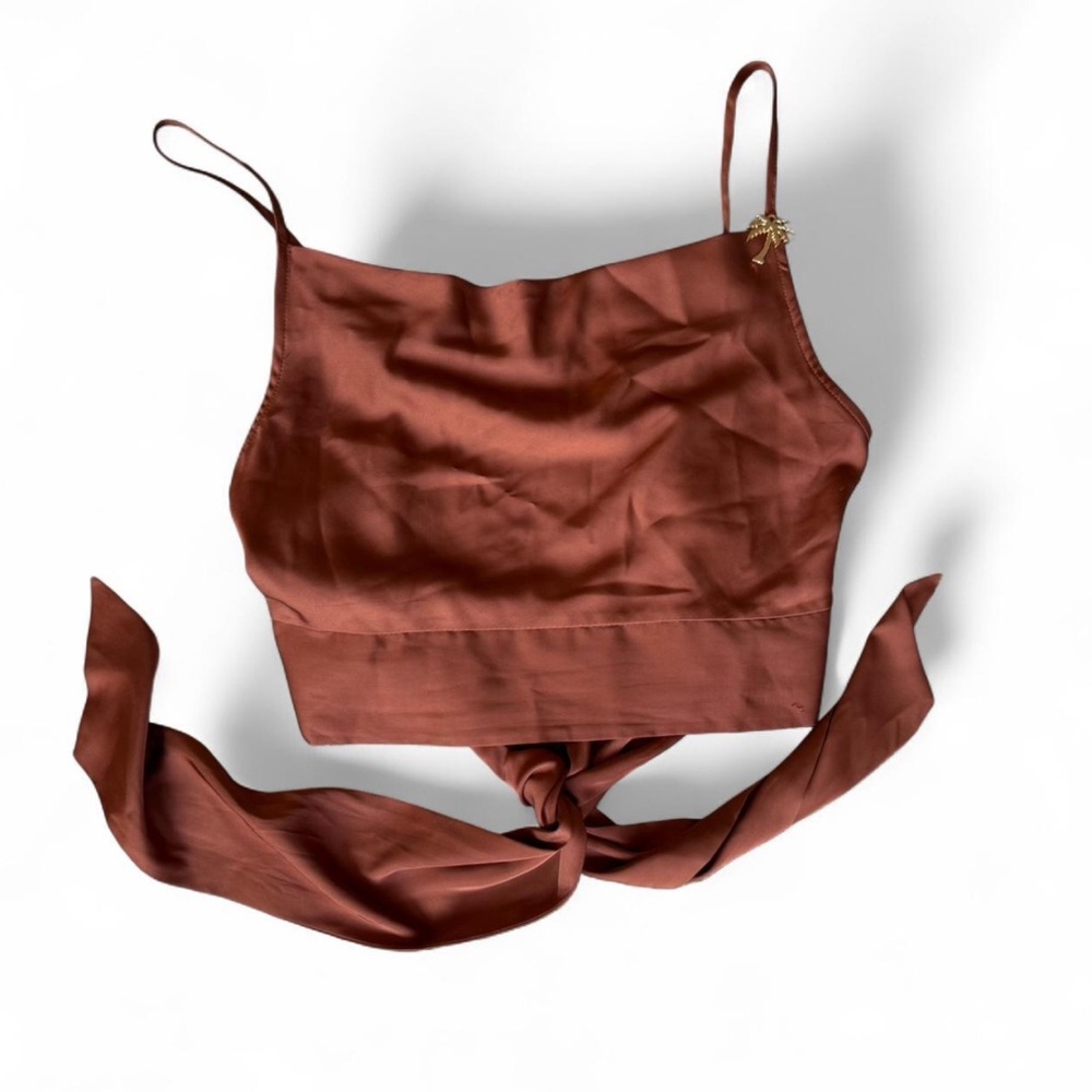 Joie Rust Smocked Crop Top